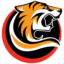 Web Design Dandenong